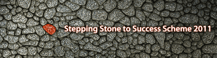 Stepping Stone to Success Scheme 2011