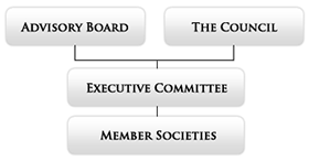 Structure of HKFBS